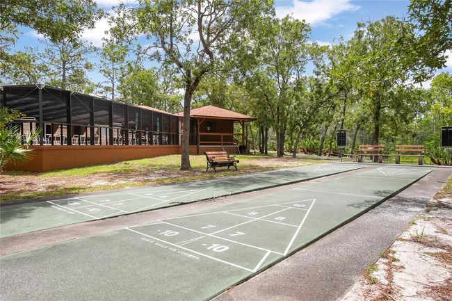 Shuffle Board | Image 39