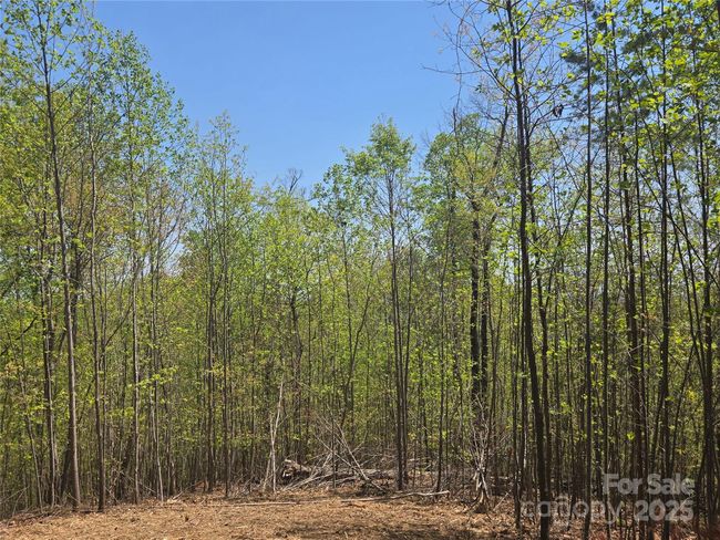 Lot 32 High Rock Rdg, Home with 0 bedrooms, 0 bathrooms and null parking in Lake Lure NC | Image 12
