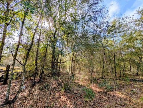 TBD Carr St, Interlachen, FL, 32148 | Card Image