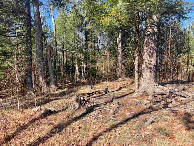63 New Boston Rd, Home with 0 bedrooms, 0 bathrooms and null parking in Francestown NH | Image 34