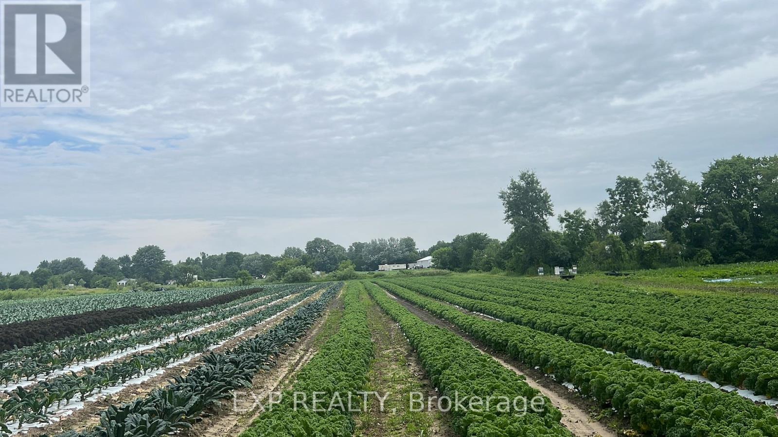 Land in Southwest Middlesex 2