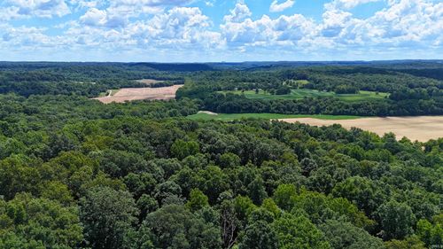 32.34 acre 8669 Bird Lane, Shoals, IN, 47581-7370 | Card Image