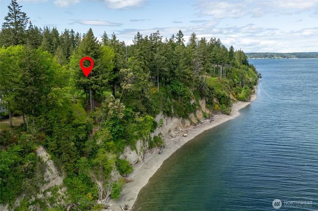 Stretch Island has an abundance of Wildlife!! | Image 11