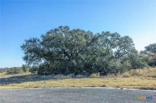 000 Briarhill Road Blk 3 Lot 4, Inez, TX, 77968 | Card Image