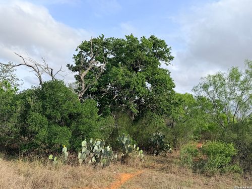 3980 Highway 173, Jourdanton, TX, 78026 | Card Image