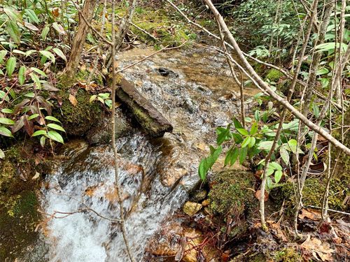 Lot 64 Peppervine Circle, Rosman, NC, 28772 | Card Image