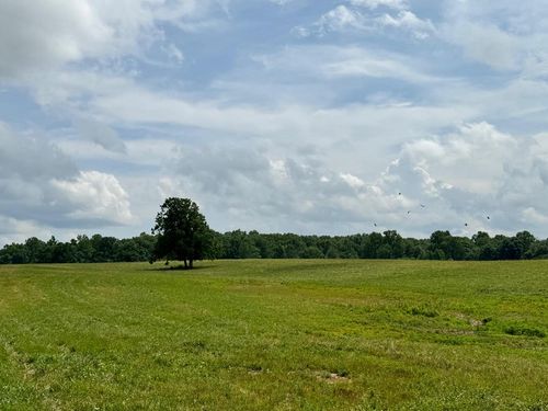 0 Old Bean Shed Rd, Clarkrange, TN, 38553 | Card Image