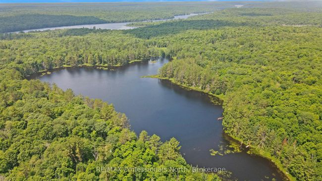 1134 Walker Line Rd, Home with 0 bedrooms, 0 bathrooms and null parking in Algonquin Highlands ON | Image 9