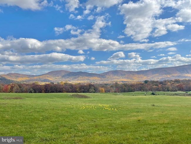 63 Buck Mountain Rd, House other with 4 bedrooms, 4 bathrooms and null parking in BENTONVILLE VA | Image 9