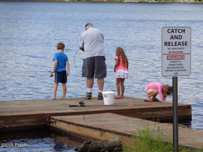 Fishing Dock - Copy | Image 13