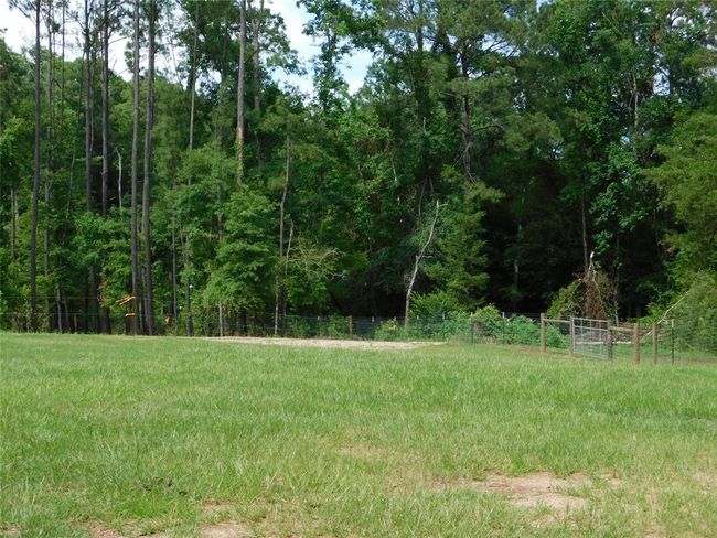 1305 Boyd Rd, Home with 3 bedrooms, 2 bathrooms and 2 parking in Bronson TX | Image 23
