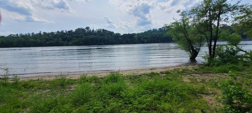 855 Hardin Bottom River Rd, Clifton, TN, 38425-1522 | Card Image