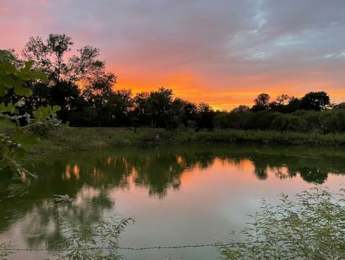 5571 Fm 535, Cedar Creek, TX, 78612-3186 | Card Image