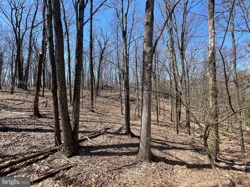 97 Snow Ridge Cir, Zion Grove, PA, 17985-9305 | Card Image