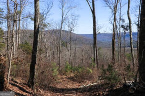 0 Pudding Ridge Road, Flat Rock, AL, 35966 | Card Image