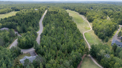 TBD Lots 13 & 14 B2 Pine Tree Lane, Coleraine, MN, 55722 | Card Image