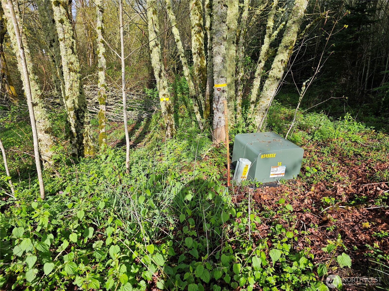 Land in Mossyrock 3