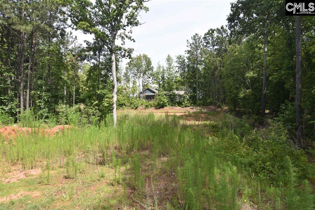 Land in Leesville 5