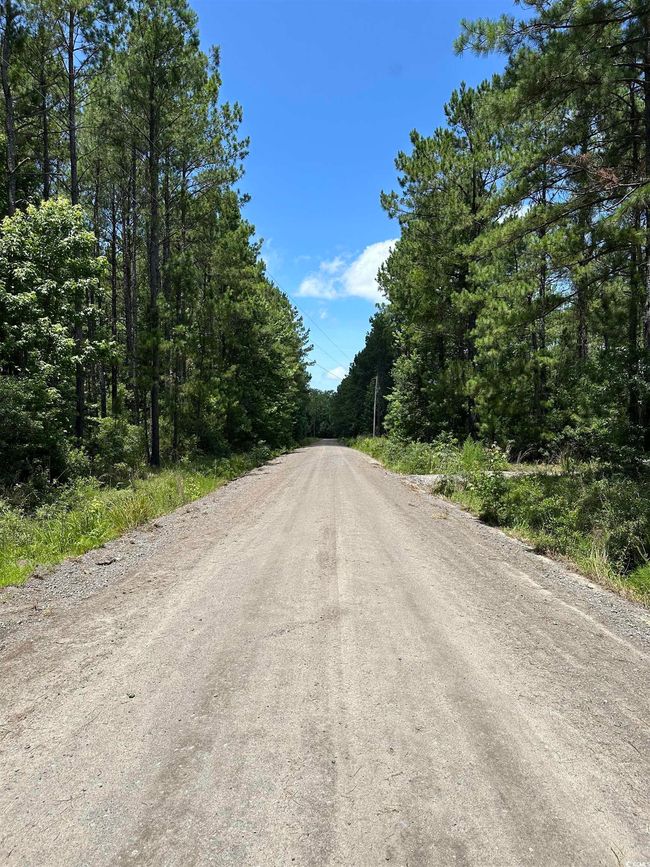 218 Samworth Loop, Home with 0 bedrooms, 0 bathrooms and null parking in Georgetown SC | Image 11