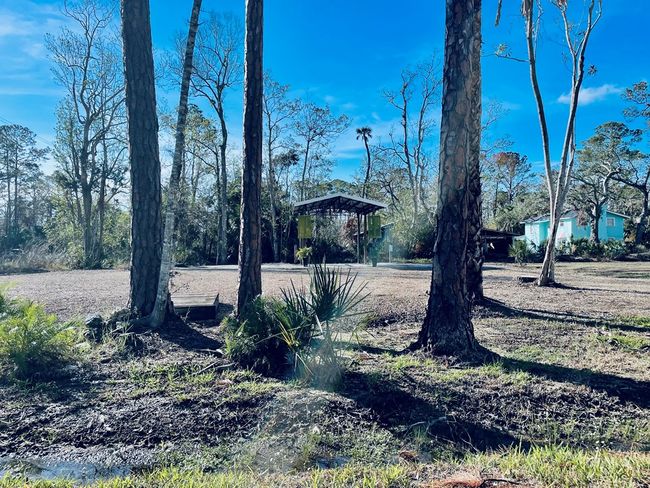 715 1 St Ave Se, Home with 0 bedrooms, 0 bathrooms and null parking in STEINHATCHEE FL | Image 12