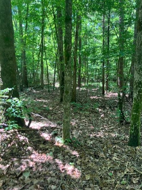 260 Madison Cr 410, Fredericktown, MO, 63645 | Card Image
