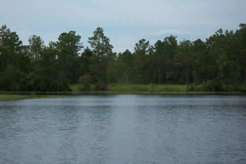 141 Silk Oak Drive, Defuniak Springs, FL, 32433 | Card Image