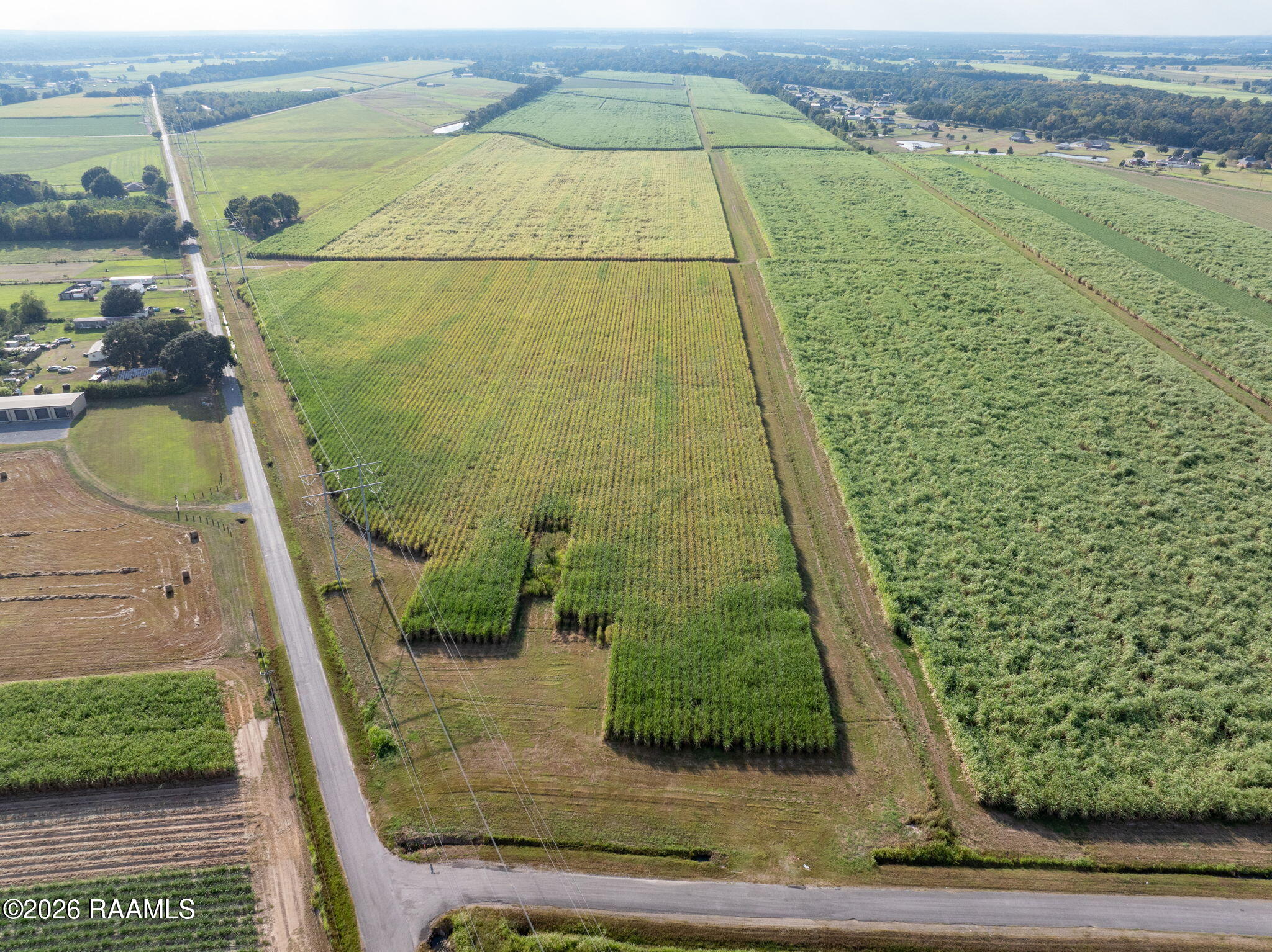 Land in Abbeville 4