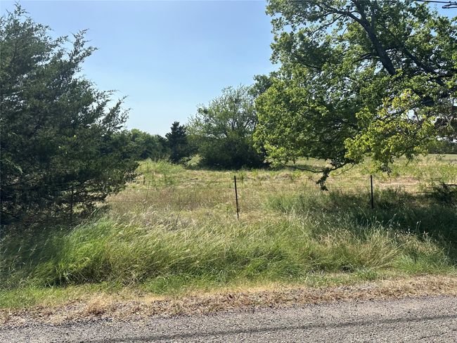 View of nature | Image 18