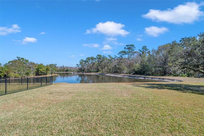 20209 Merry Oak Ave, House other with 6 bedrooms, 3 bathrooms and null parking in TAMPA FL | Image 35