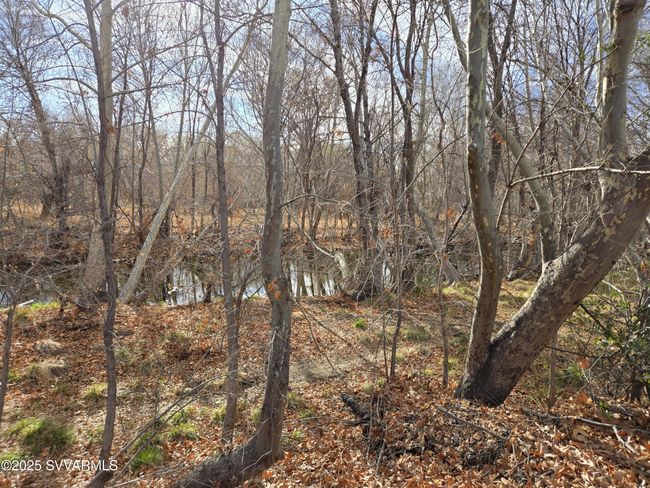 Clear Creek (nearby) | Image 12