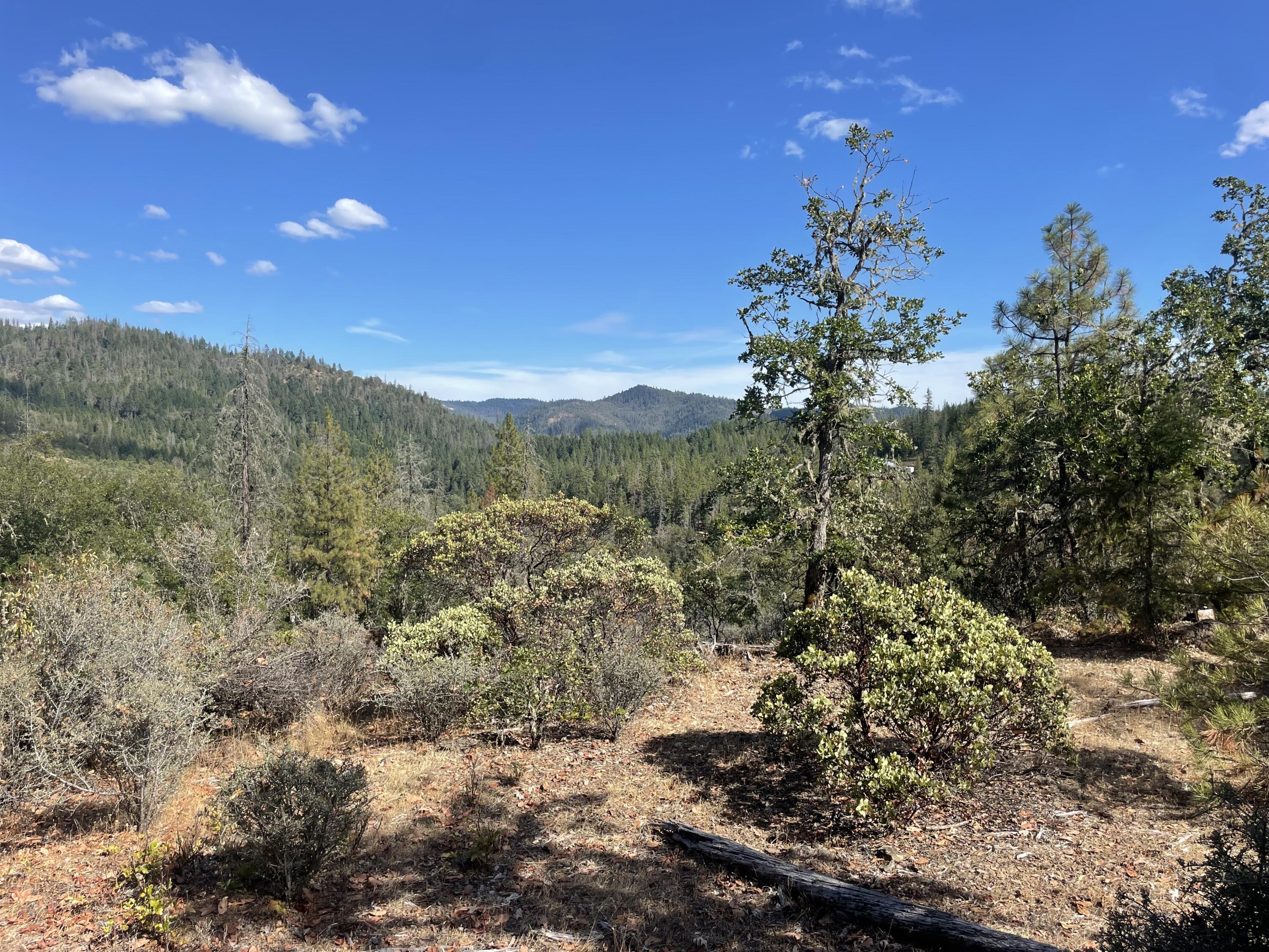 Land in Trail