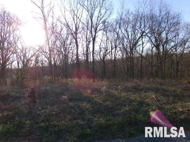 2225 Route 34, House other with 4 bedrooms, 2 bathrooms and null parking in Rosiclare IL | Image 33