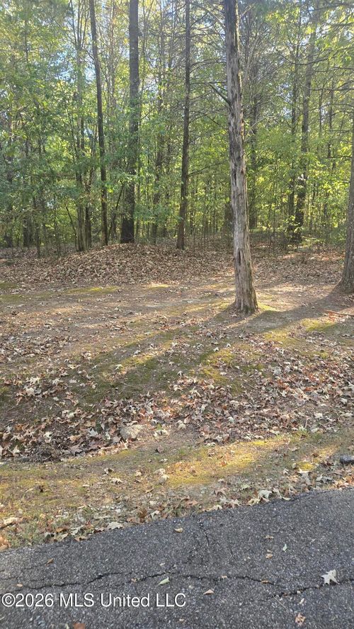 0 Farley Road, Byhalia, MS, 38611 | Card Image