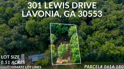 301 Lewis Drive, Lavonia, GA, 30553 | Card Image