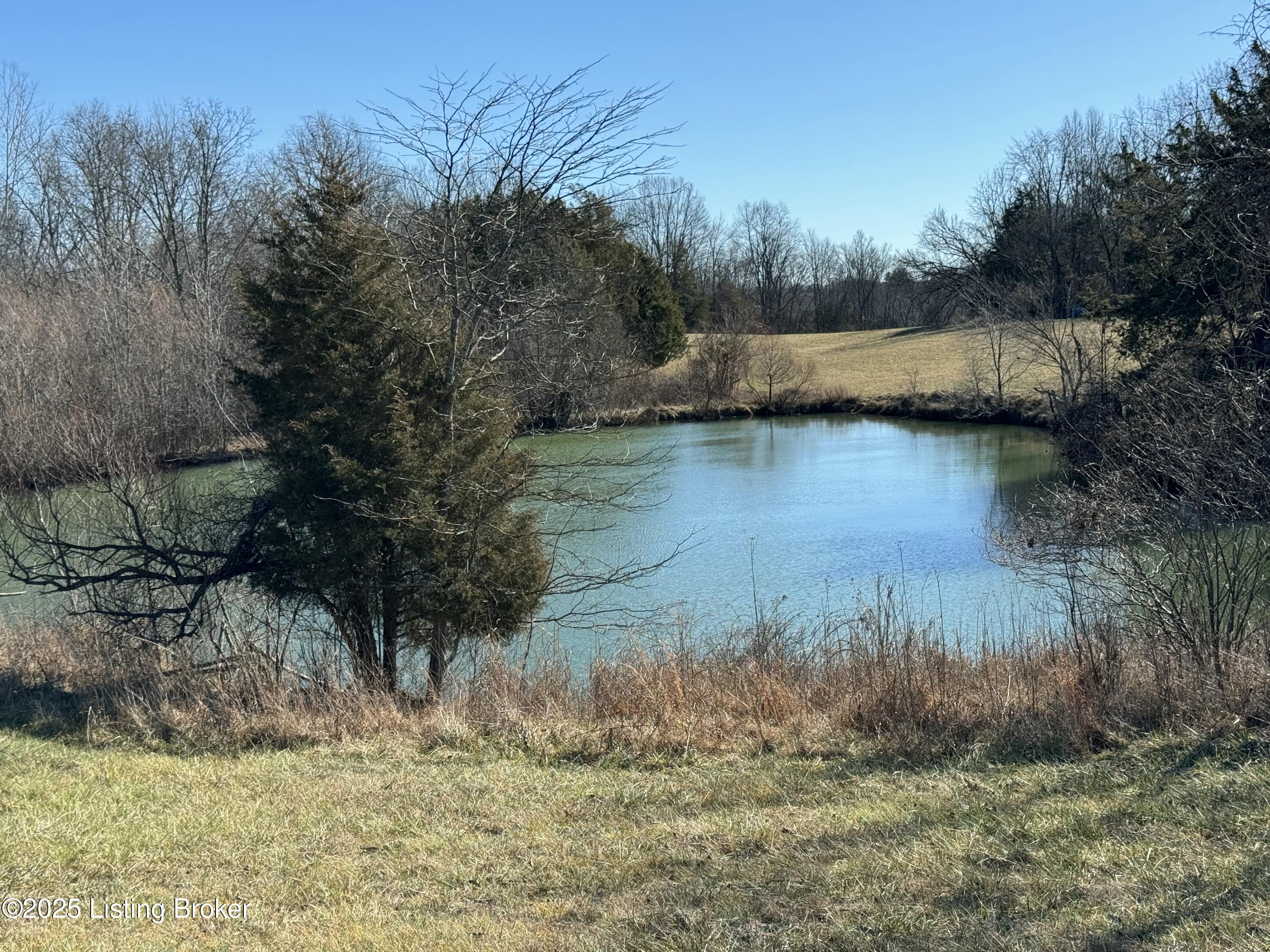 Land in Shelbyville 2