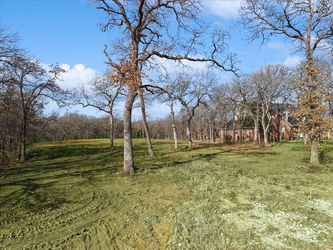 View of yard | Image 7