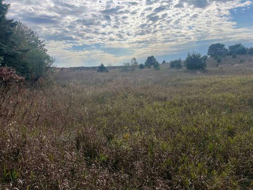 4249 W Us-131, S, Blair Township, MI, 49685 | Card Image