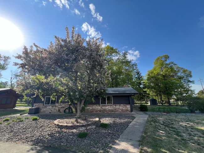 Mock crabapple tree in bloom | Image 46