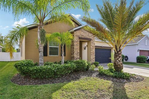 11767 Winterset Cove Drive, RIVERVIEW, FL, 33579 | Card Image