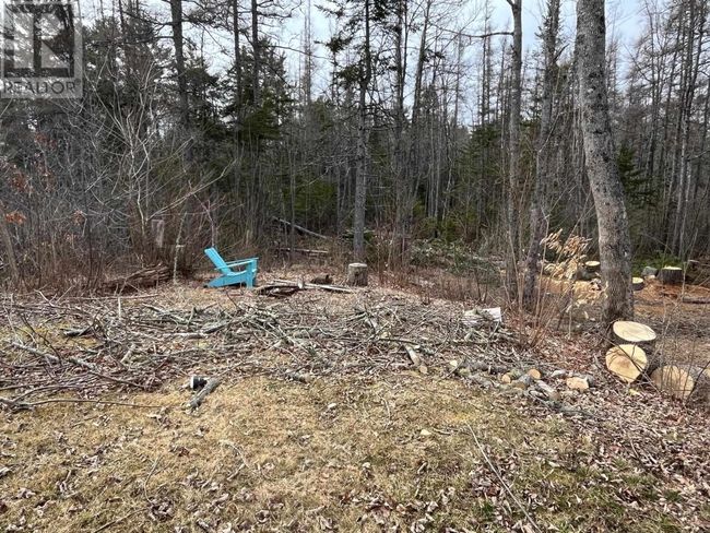 11799 Highway 8, Home with 0 bedrooms, 0 bathrooms and null parking in Caledonia NS | Image 21
