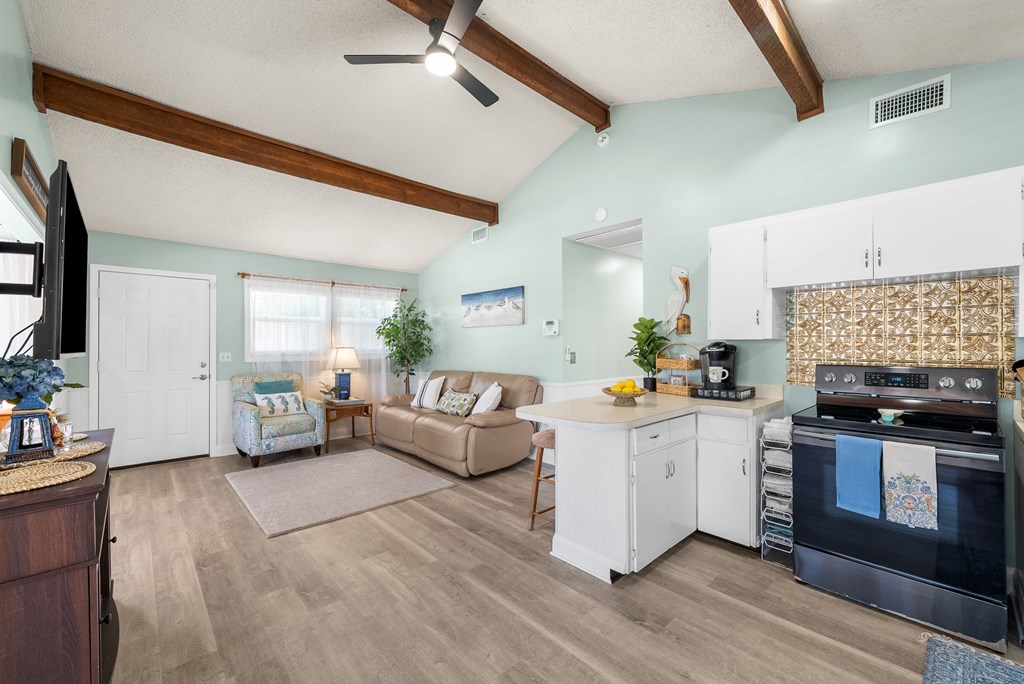 Residential in Steinhatchee 3