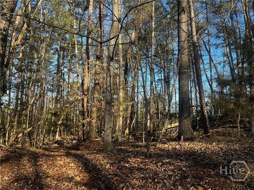 0 Alpine Way, Lavonia, GA, 30553 | Card Image