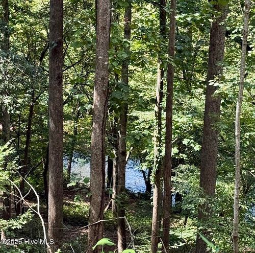 Lots 5 & 6 Jasmine Dr, Marble, NC, 28905 | Card Image
