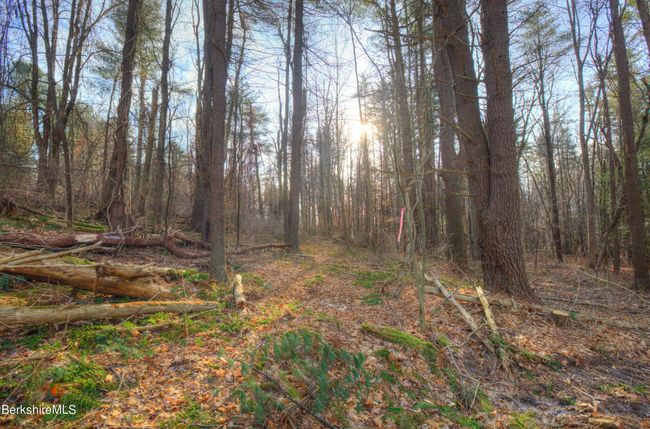13 Rattlesnake Mtn Rd, Home with 0 bedrooms, 0 bathrooms and null parking in Stockbridge MA | Image 22