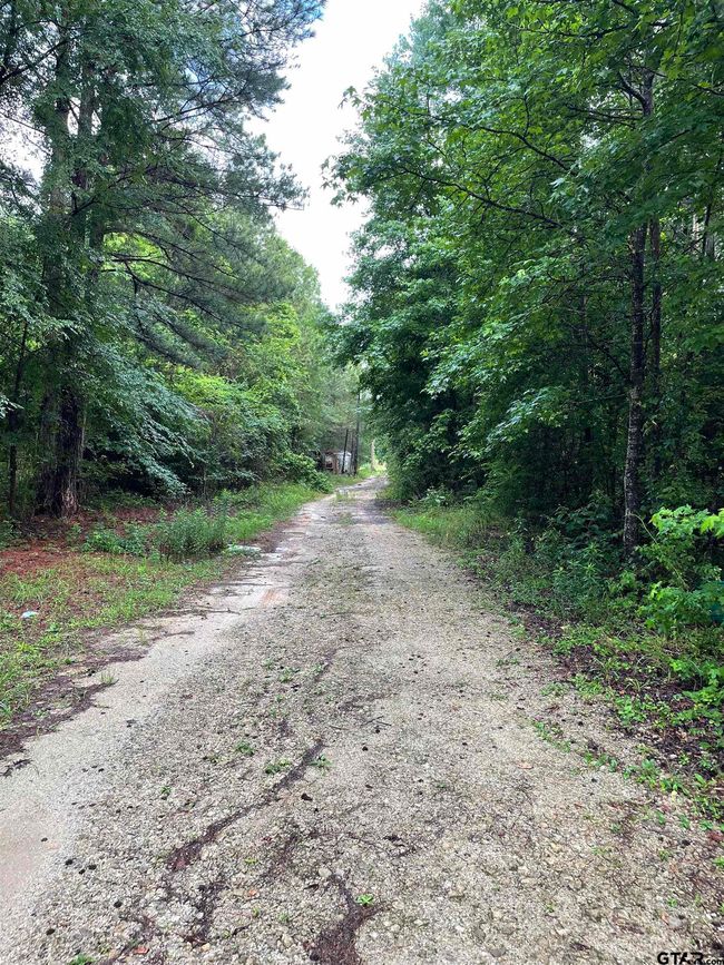 23349 Fm 838 W, Home with 0 bedrooms, 0 bathrooms and null parking in Overton TX | Image 11