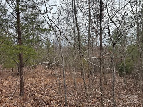 00 Stonecrest Pkwy, Mill Spring, NC, 28756 | Card Image