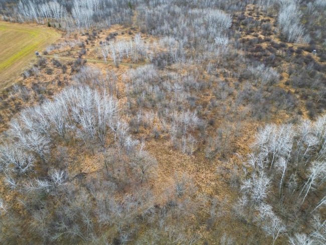 DJI_0385.JPG | Image 33