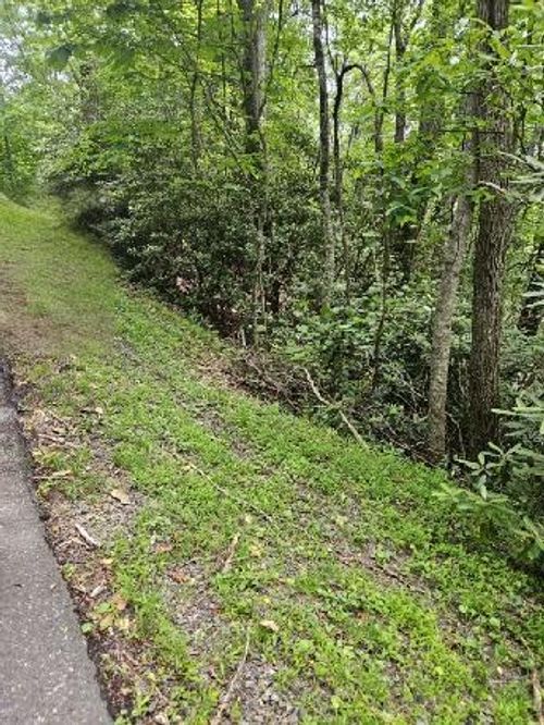 Lot E24 Otter Creek Trl, Fancy Gap, VA, 24328 | Card Image