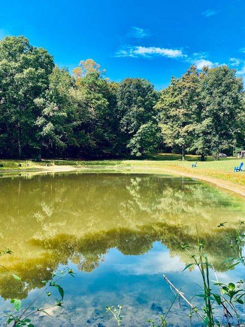 314 Road 955, Valley Head, AL, 35989-4615 | Card Image