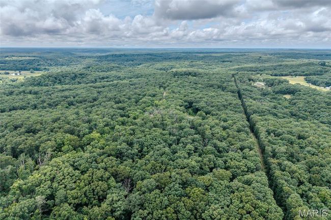 Bird's eye view of a forest | Image 78